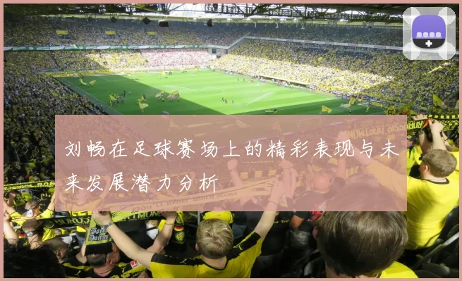 刘畅在足球赛场上的精彩表现与未来发展潜力分析