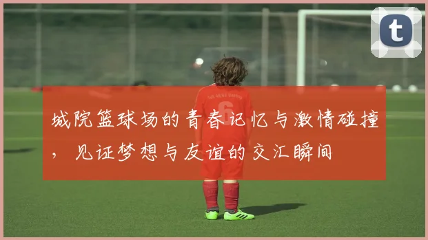 城院篮球场的青春记忆与激情碰撞，见证梦想与友谊的交汇瞬间